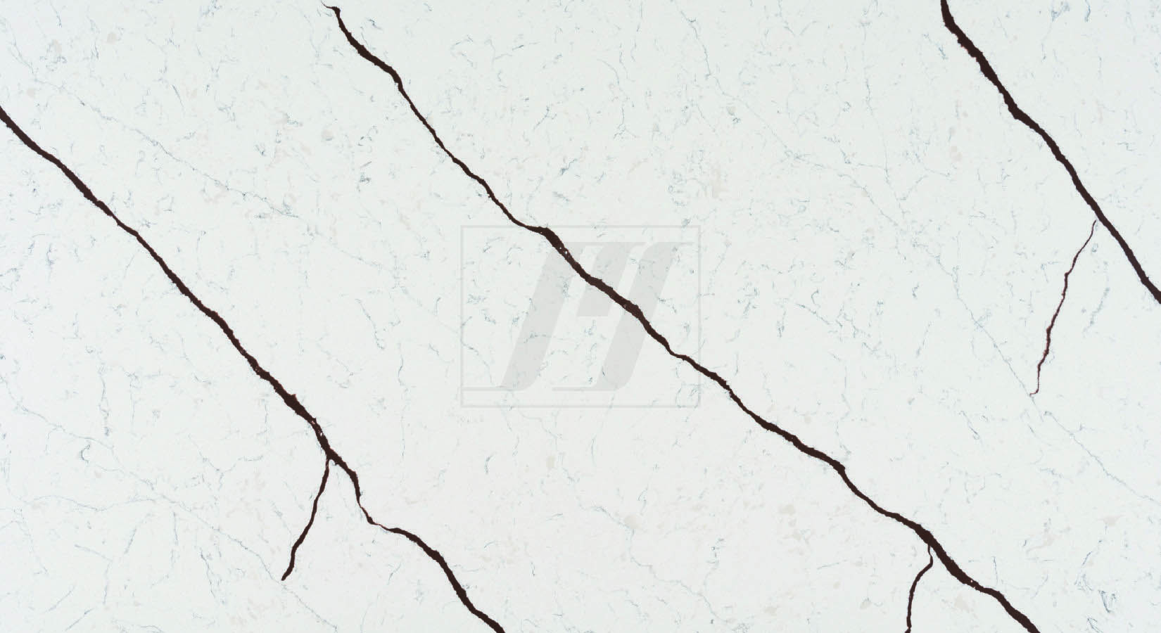 Calacatta Spider